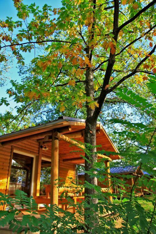 Albirondack Camping Lodge & Spa Δωμάτιο φωτογραφία